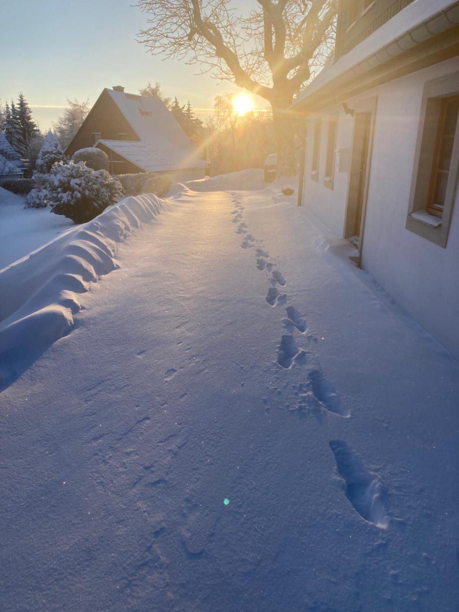 Holiday home Erzgebirgshaus Zirbenliebe Altenberg